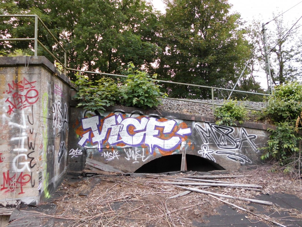 Graffiti Bombing - Photo by mistanice - VICE, Münster (2013)