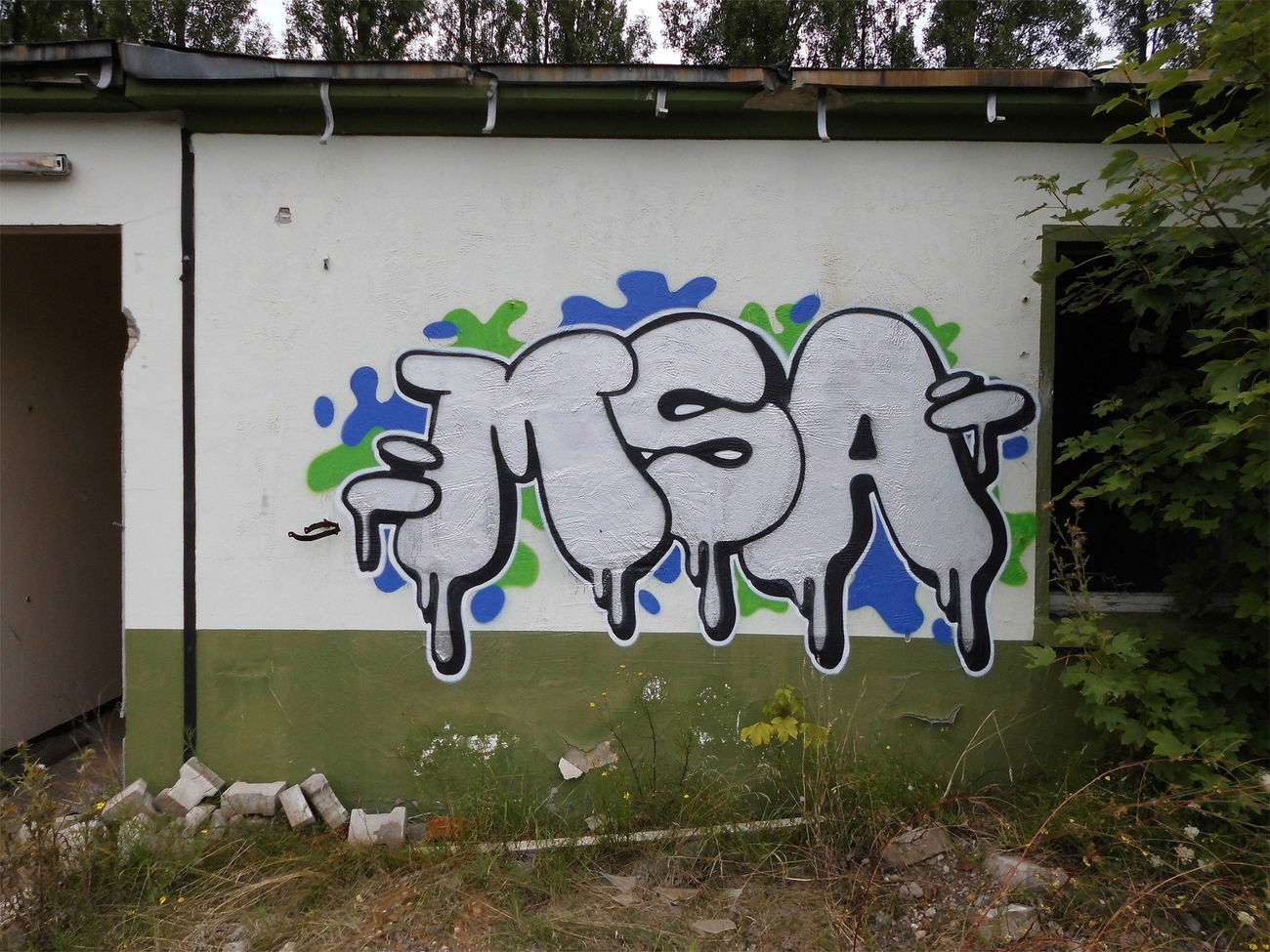 Graffiti Wall - Photo by mistanice - MSA (2015)