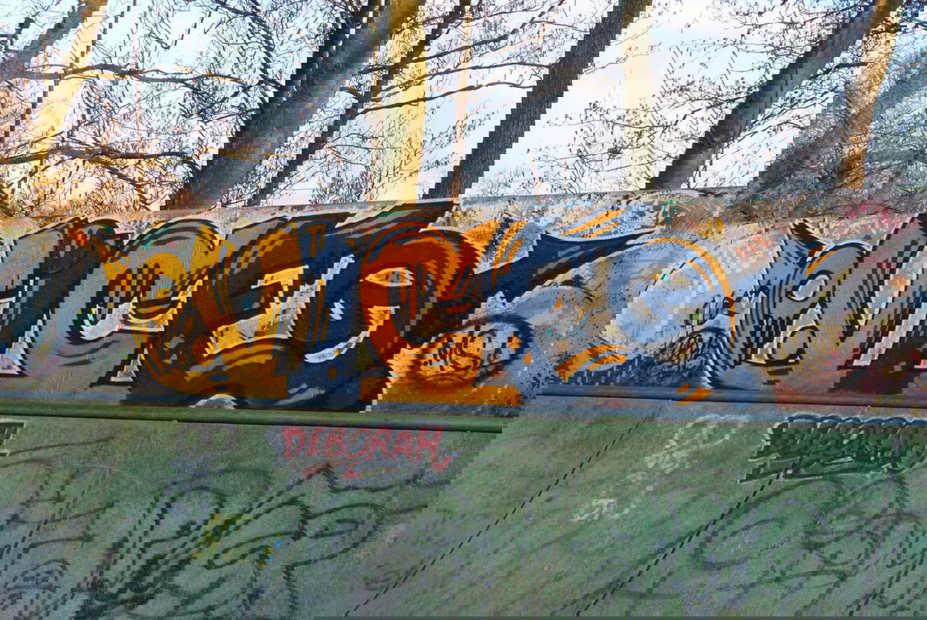 Graffiti Wall - Photo by mistanice - VICE, MSA, Netherlands (2015)