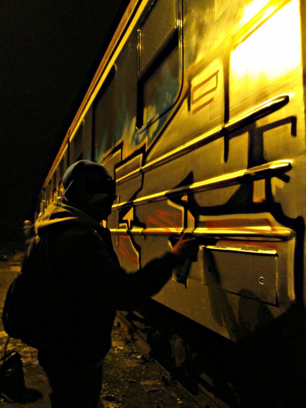 Graffiti Artwork - Photo by mitesone - Miter, train