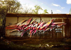 Photo #86135 by Belt