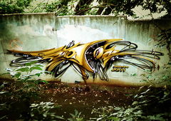 Photo #87351 by Belt