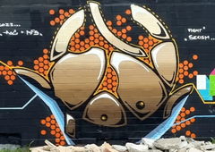 Graffiti Wall - Photo by modi (2022)