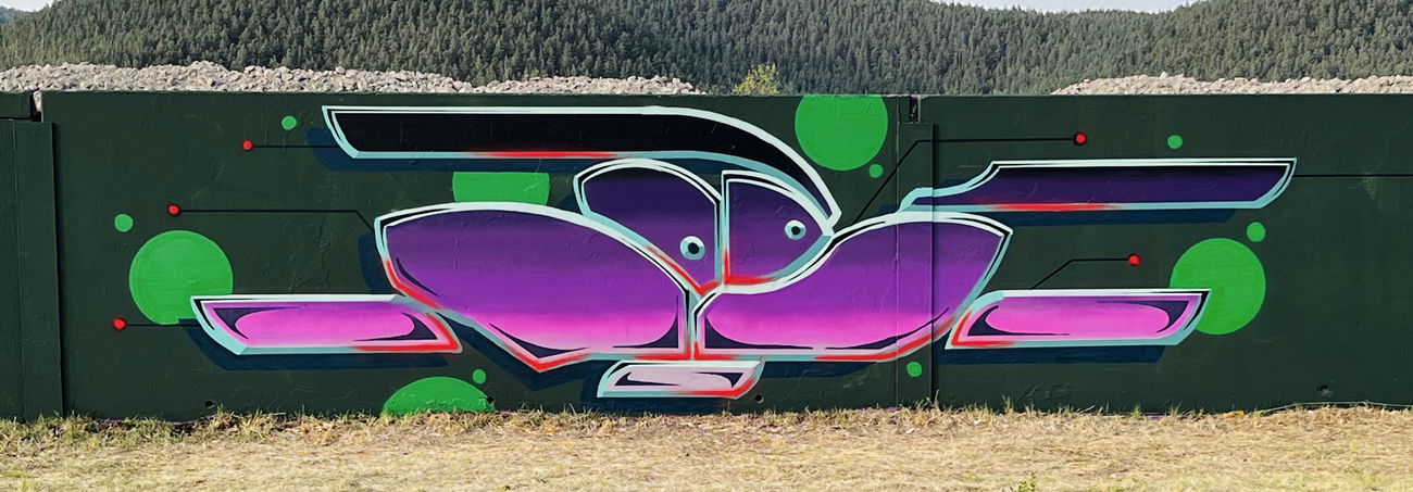 Graffiti Wall - Photo by modiaoc