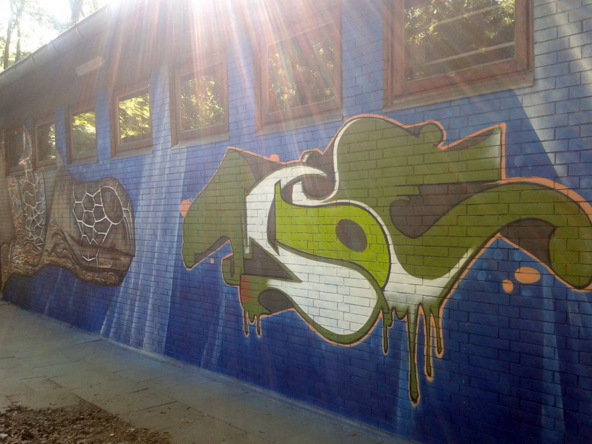 Graffiti Wall - Photo by moe79 - moe79, berlin (2013)