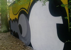 Photo #77041 by Belt