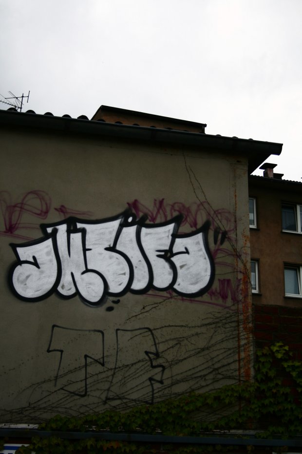 Graffiti Bombing - Photo by mois - antifa