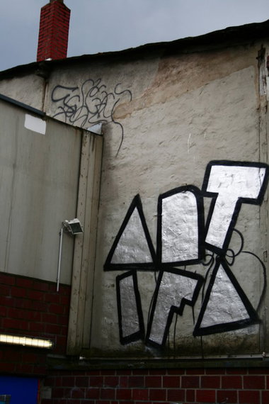 Graffiti Bombing - Photo by mois - antifa