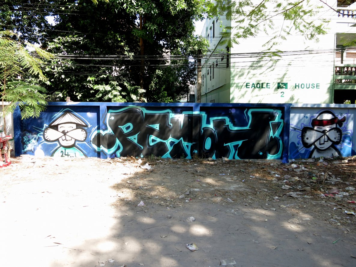 Graffiti Bombing - Photo by mois - pzyoh, pzy (2014)