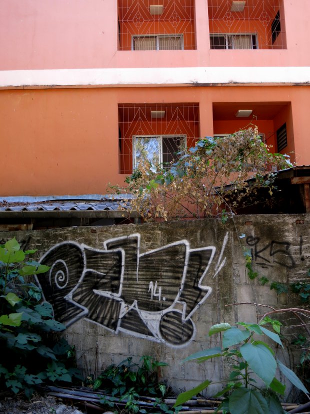 Graffiti Bombing - Photo by mois - pzy, pzyoh (2014)