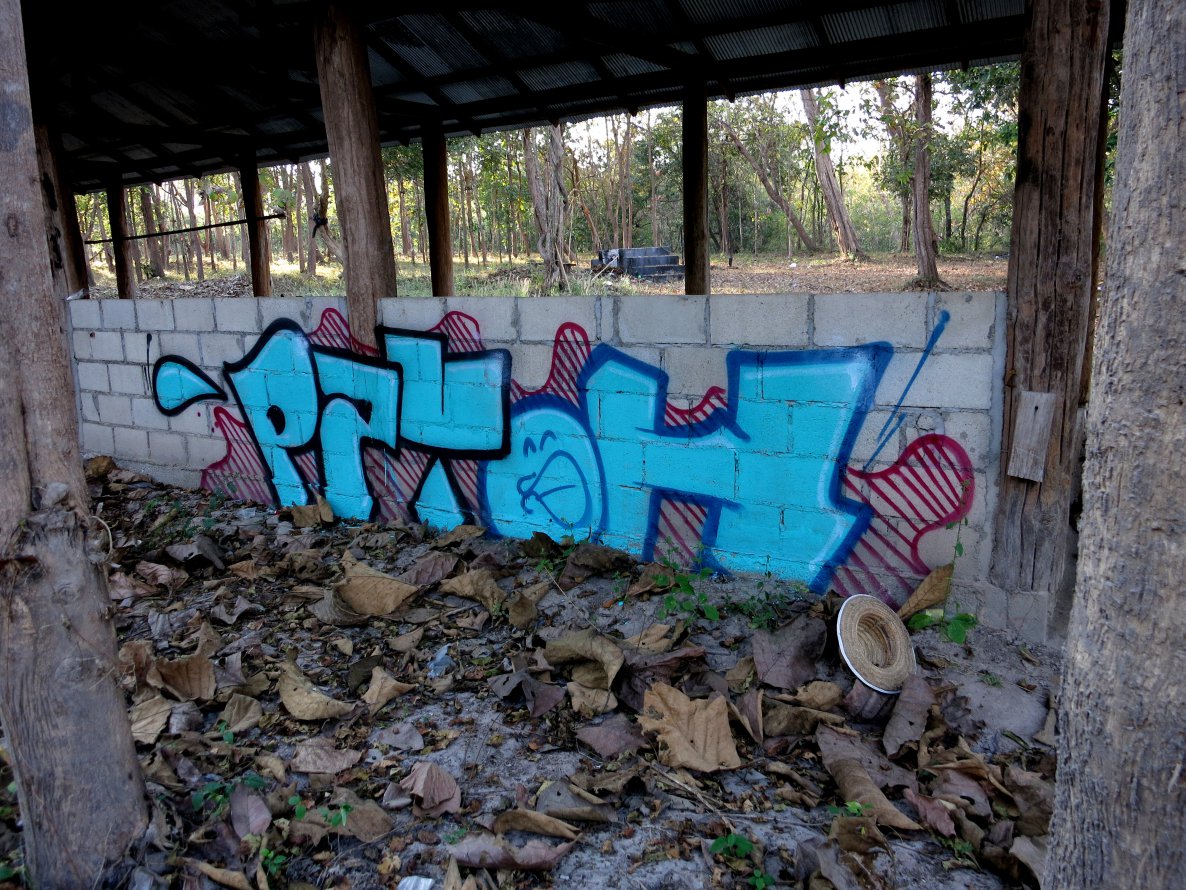 Graffiti Bombing in Thung Yao - Photo by mois - pzyoh, pzy (2014)