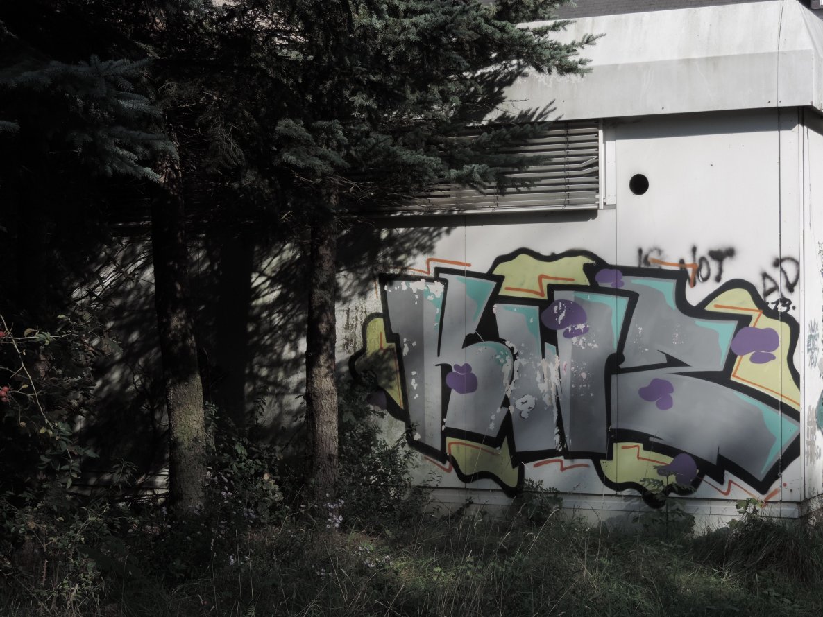 Graffiti Bombing - Photo by mois - kwz