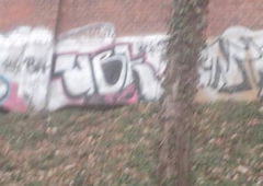 Photo #78033 by Profilneurose