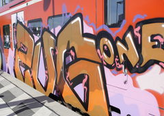 Photo #162574 by Chintz