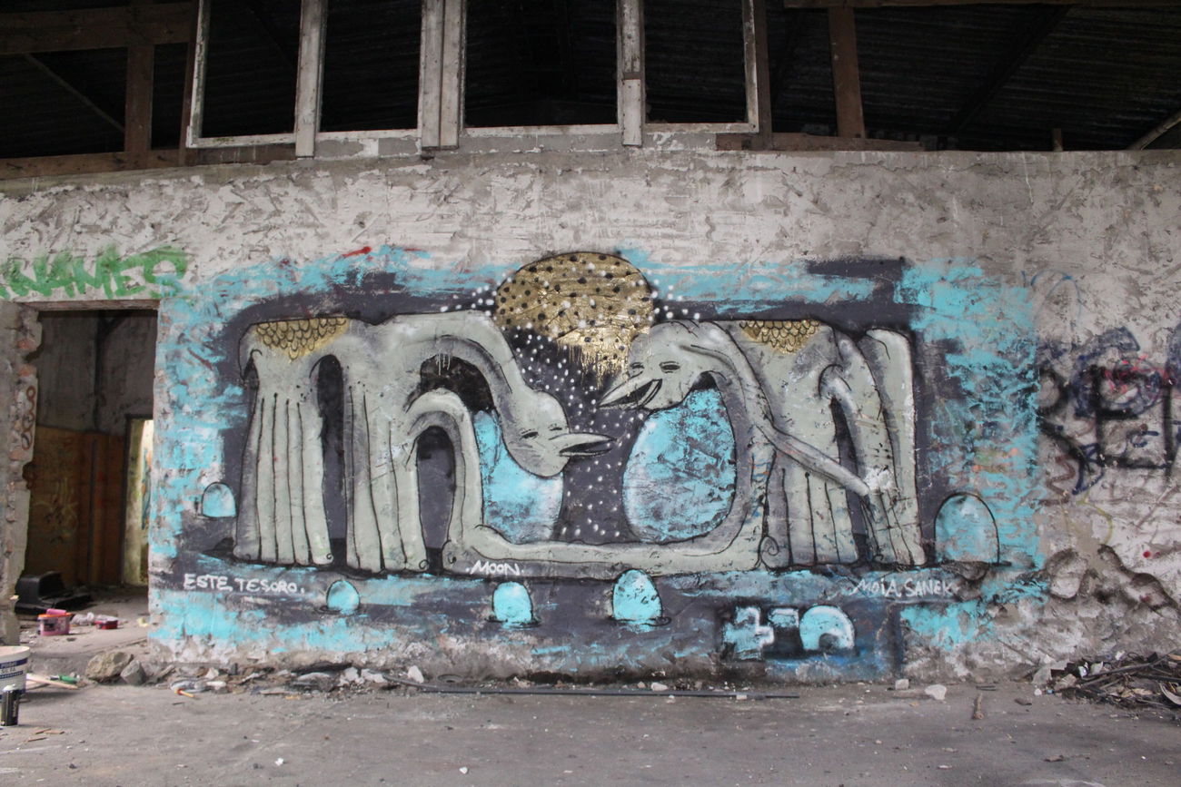 Graffiti Wall - Photo by moon - moon, plus, minus