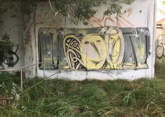 Photo #218301 by Elsuperbeasto