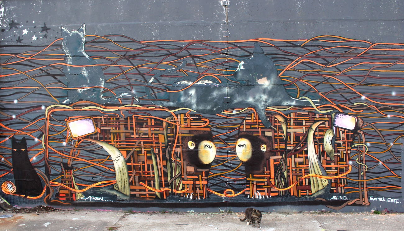 Graffiti Wall in Greifswald - Photo by moon (2017)