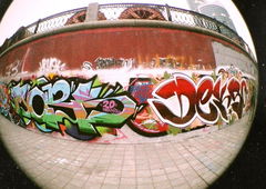 Photo #16019 by Tsavo