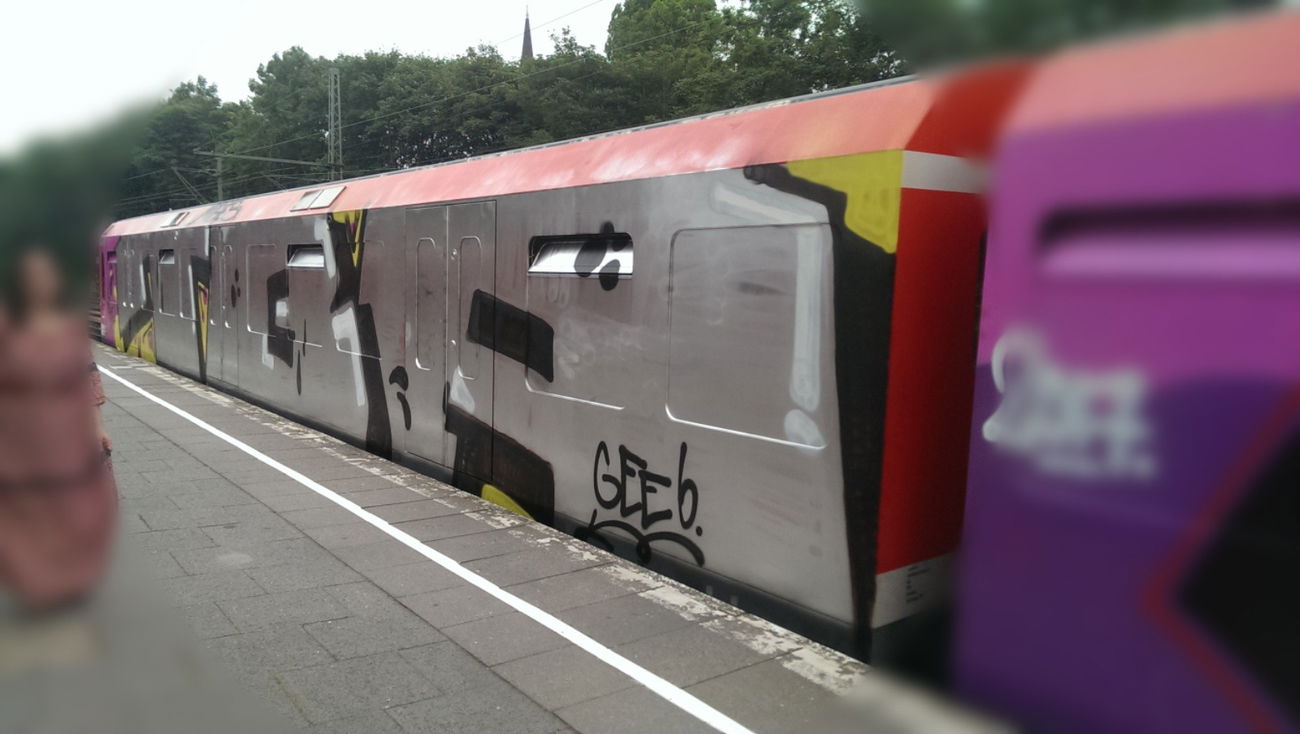 Graffiti Train in Hamburg - Photo by moschek - Tba