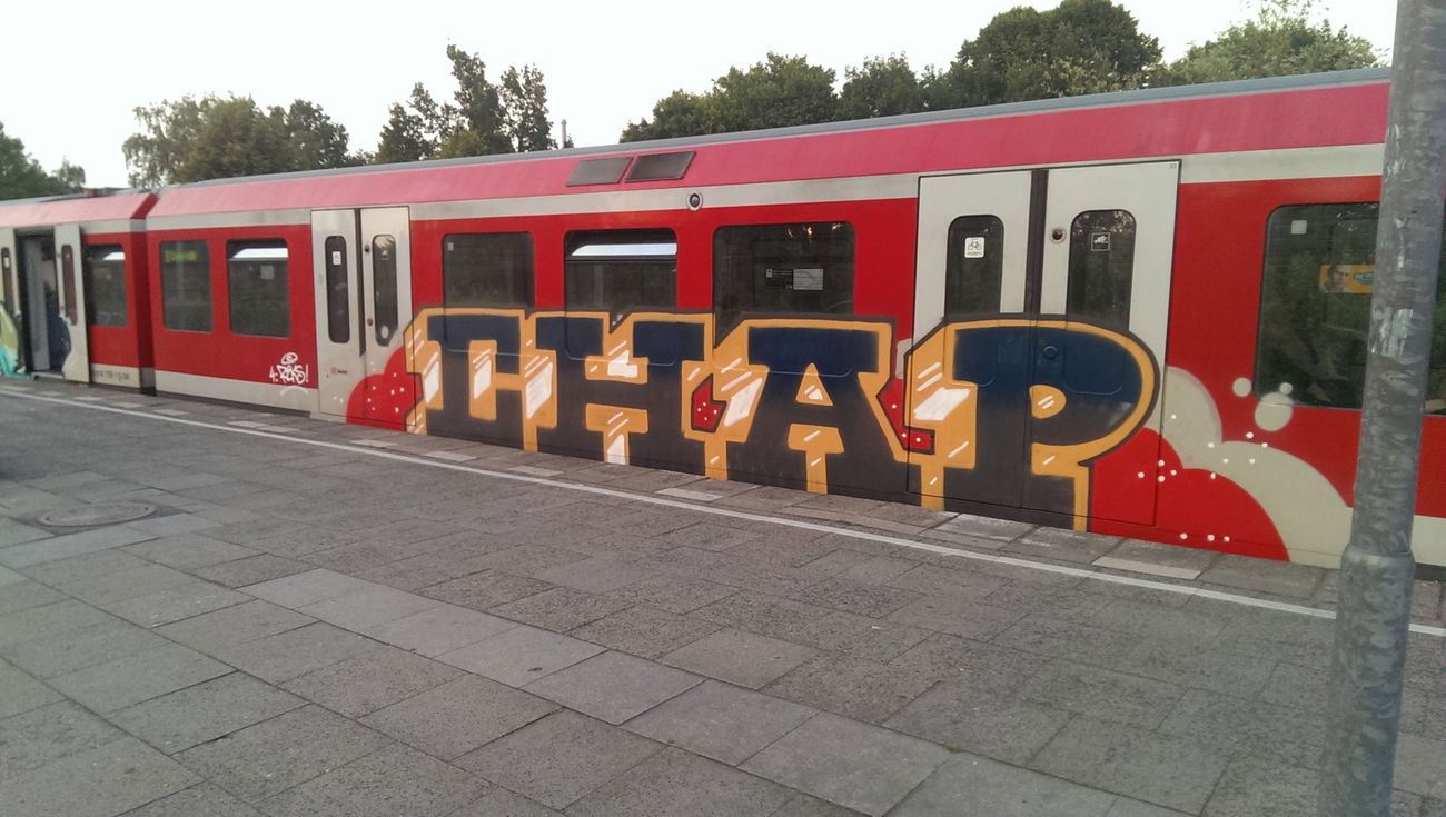 Graffiti Train - Photo by moschek - Chap (2016)