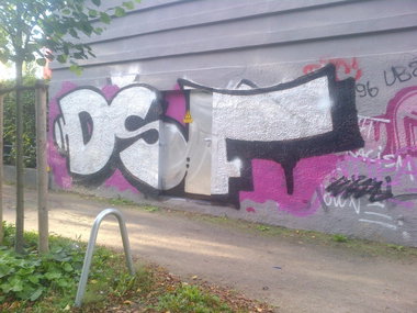 Graffiti Bombing - Photo by moschek - dsf (2013)
