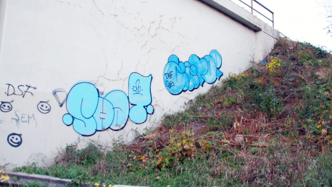 Graffiti Bombing in Hamburg - Photo by moschek - shat, zztop, dsu