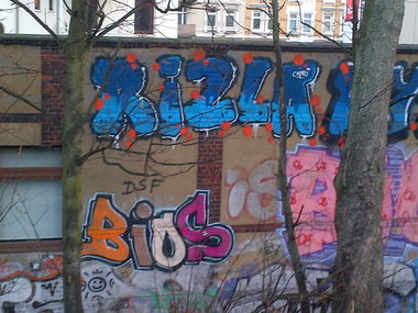 Graffiti Bombing in Hamburg - Photo by moschek - rizla, bios