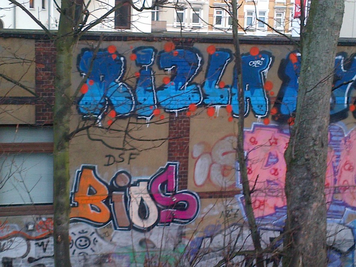 Graffiti Bombing in Hamburg - Photo by moschek - rizla, bios