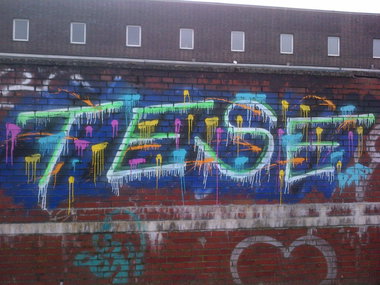 Graffiti Bombing - Photo by moschek - tese, dsf