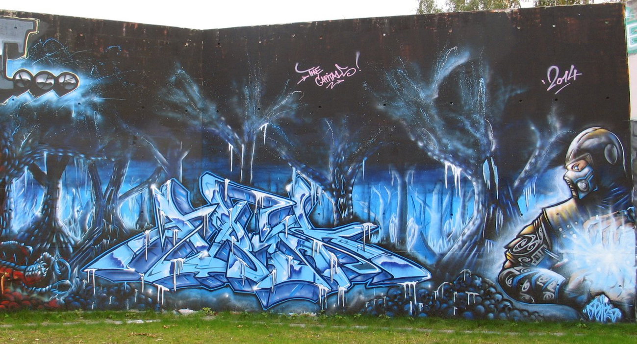 Graffiti Wall in Hamburg - Photo by moschek (2014)