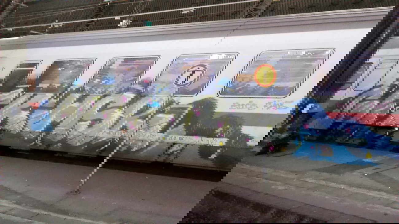 Graffiti Train - Photo by moschek - gfk, hsr (2014)