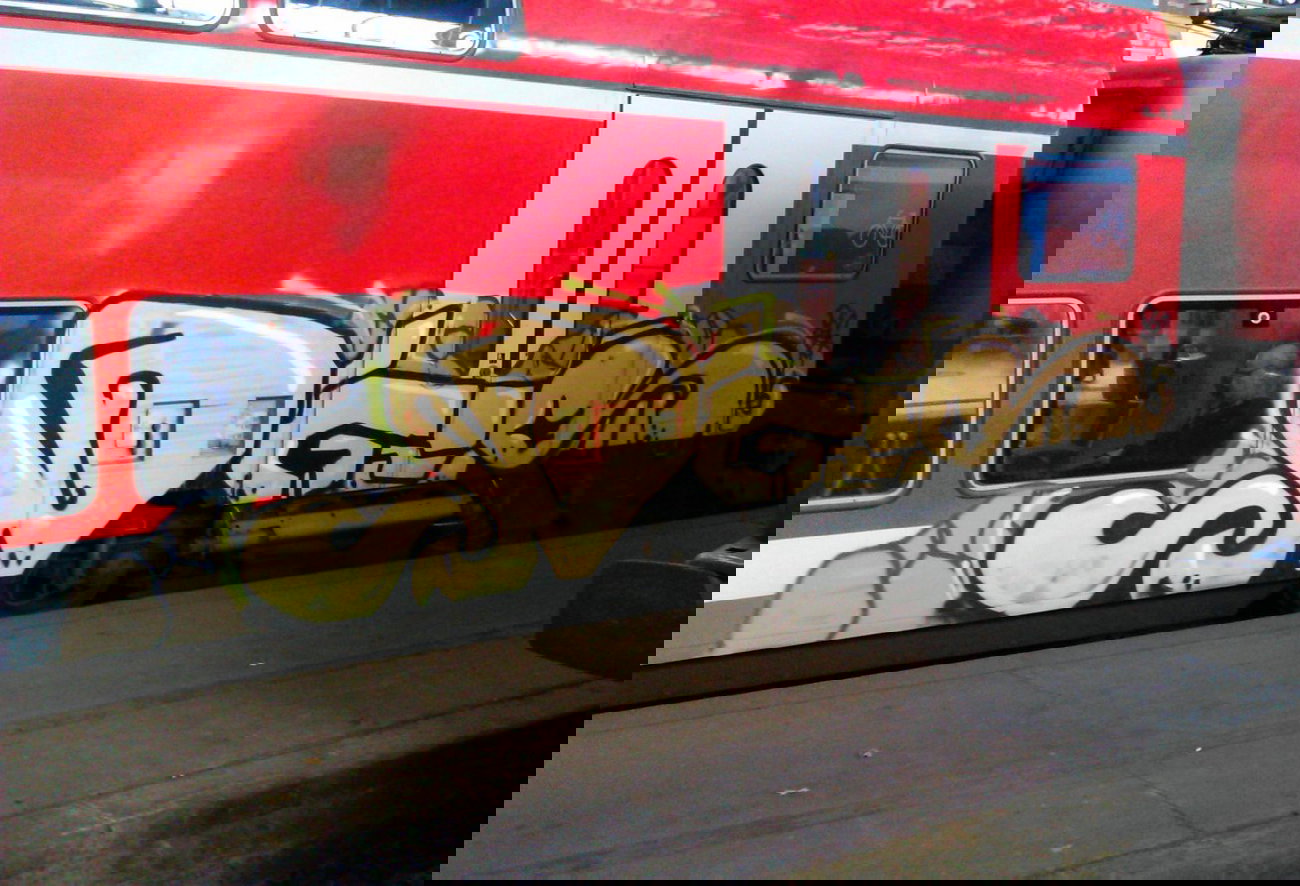 Graffiti Train - Photo by moschek - dgs (2014)