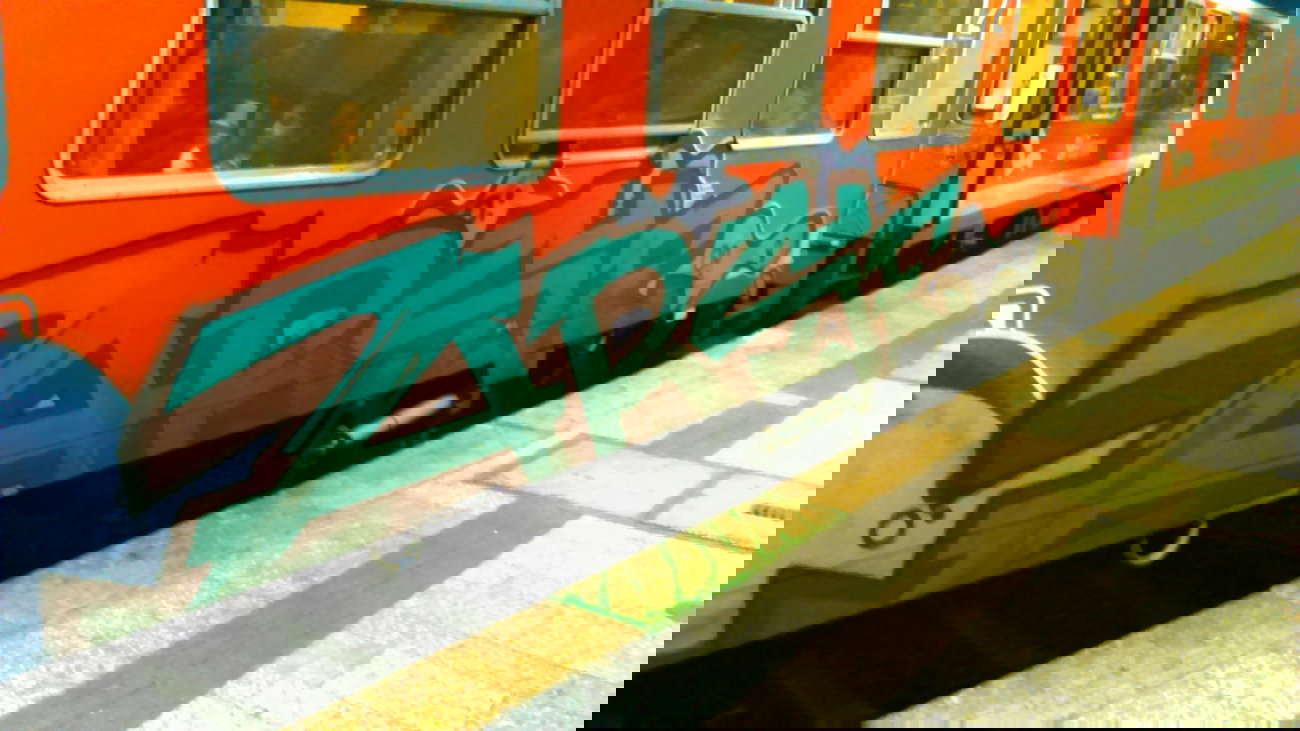 Graffiti Train - Photo by moschek - arse