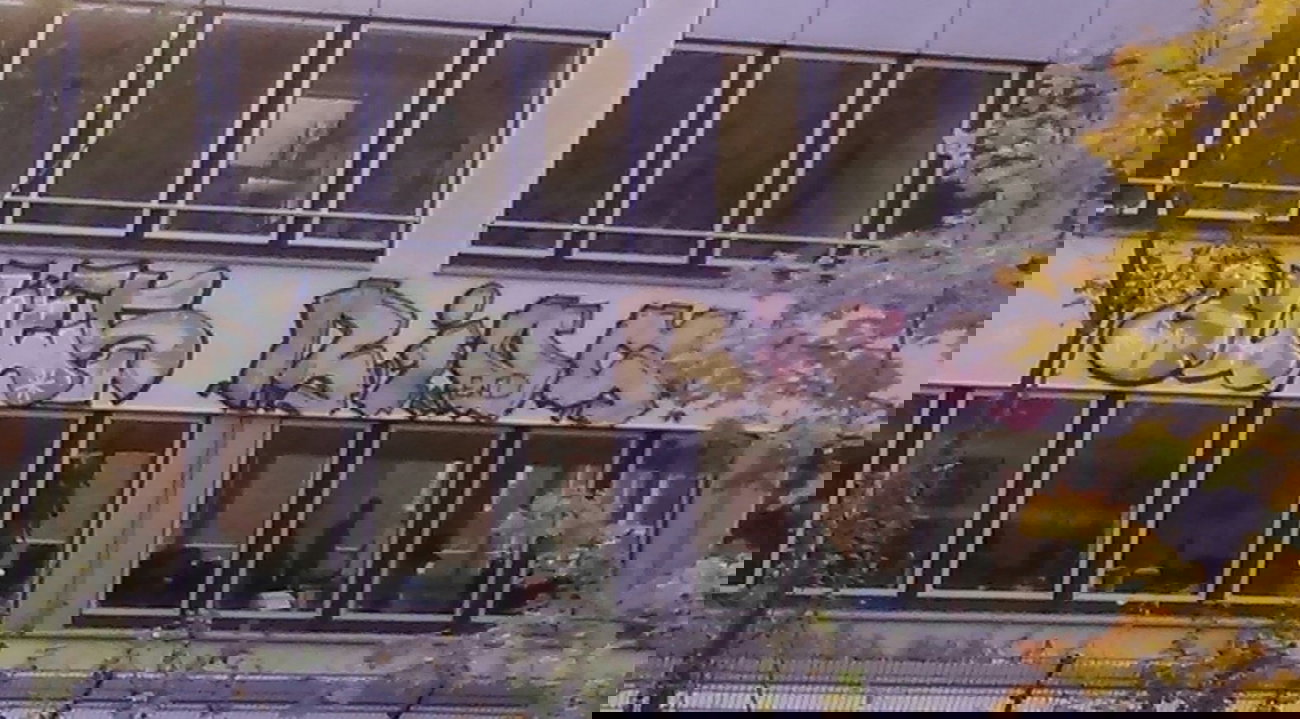 Graffiti Bombing - Photo by moschek - ques, bios, end (2014)