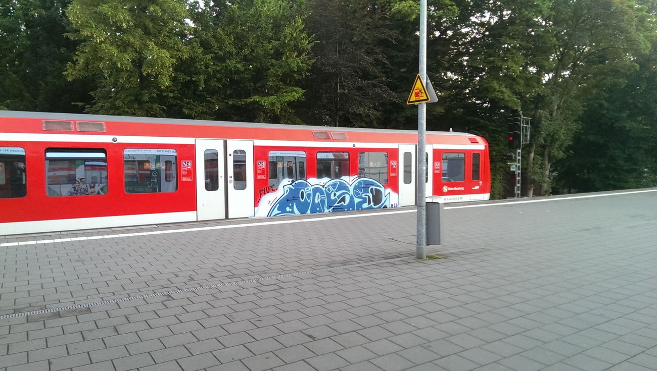 Graffiti Train - Photo by moschek