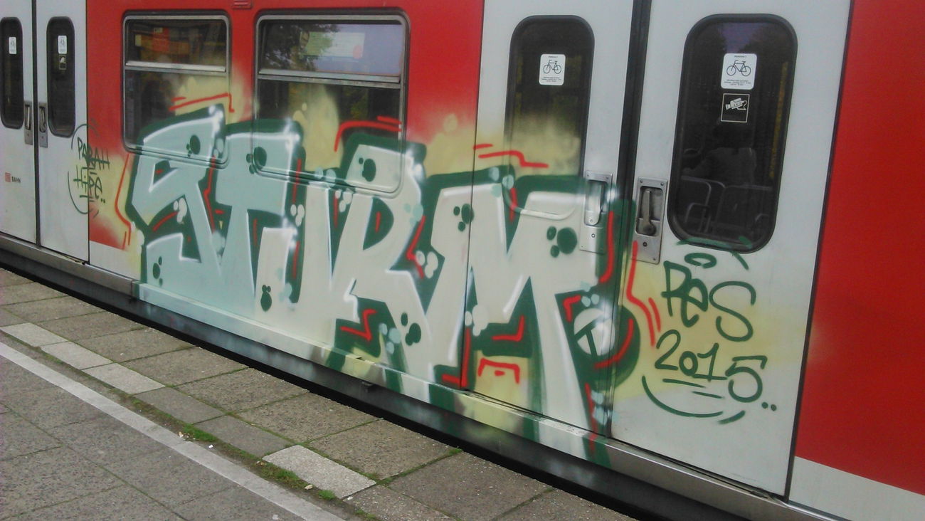 Graffiti Train in Wohnort - Photo by moschek - Sturm, pes (2015)