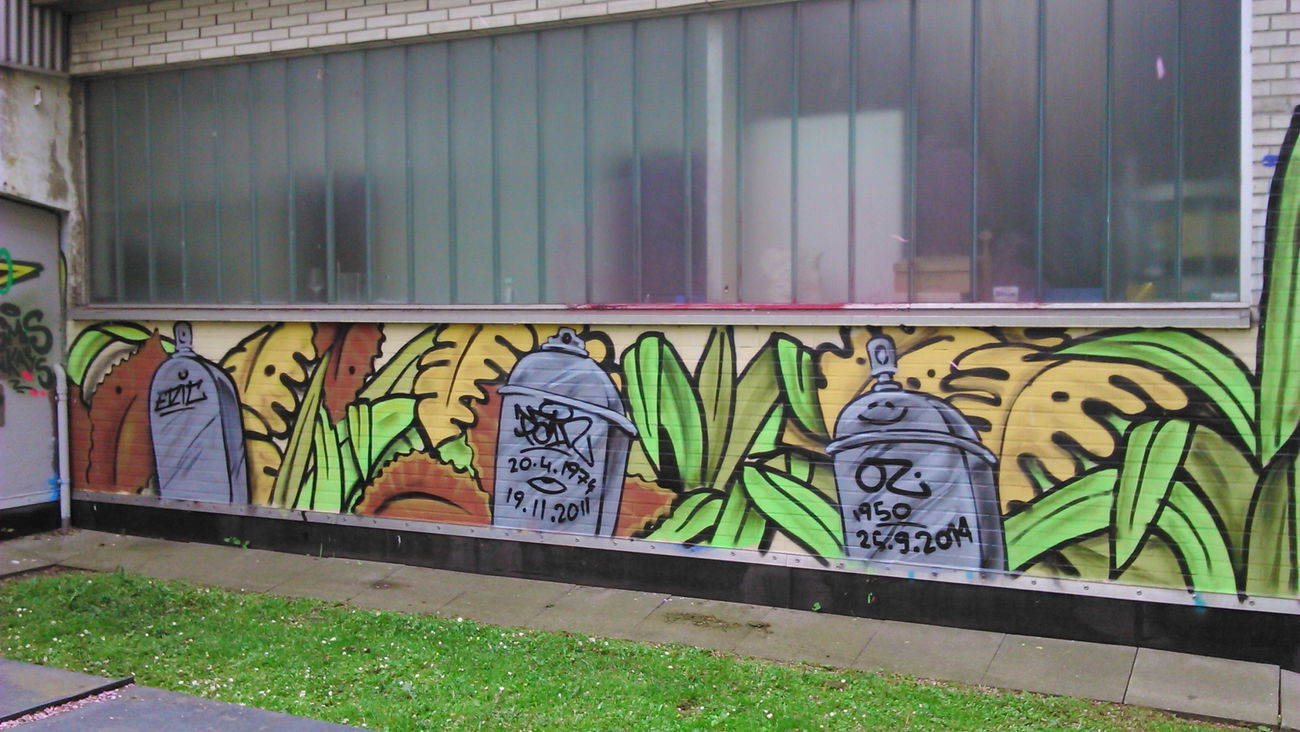 Graffiti Wall in Wohnort - Photo by moschek