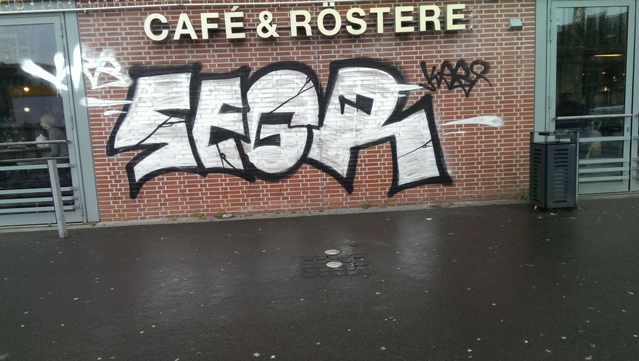 Graffiti Bombing in Hamburg - Photo by moschek - Segr, krb (2018)