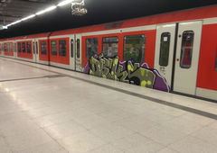 Graffiti Train - Photo by moschek
