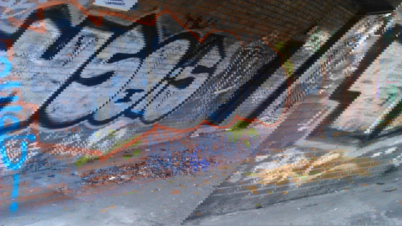 Graffiti Bombing - Photo by moschek - hs, ois