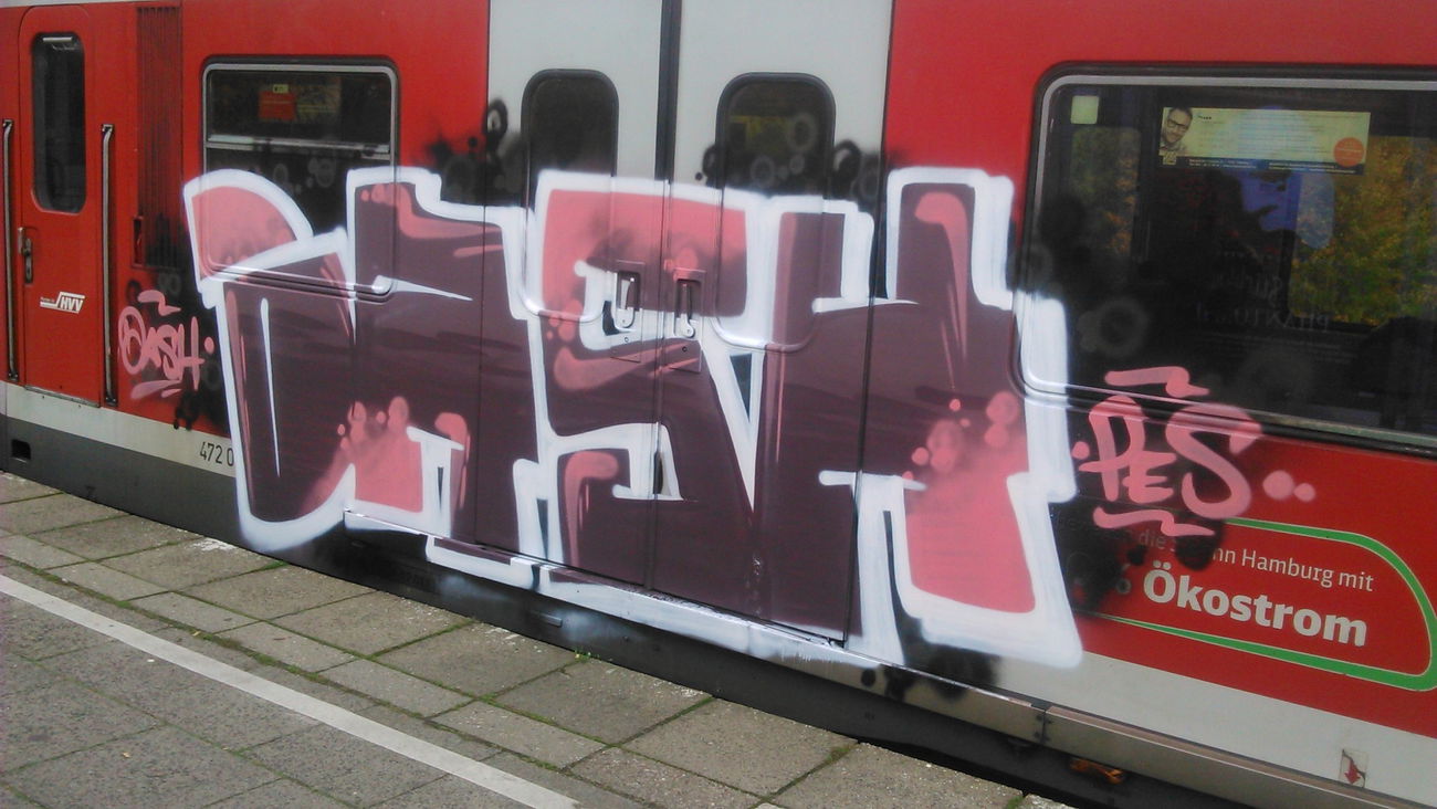Graffiti Train in Wohnort - Photo by moschek - Dash, pes (2015)