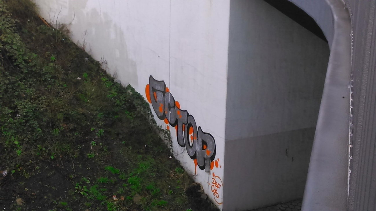 Graffiti Wall in Hamburg - Photo by moschek - cctop, cos, dsf
