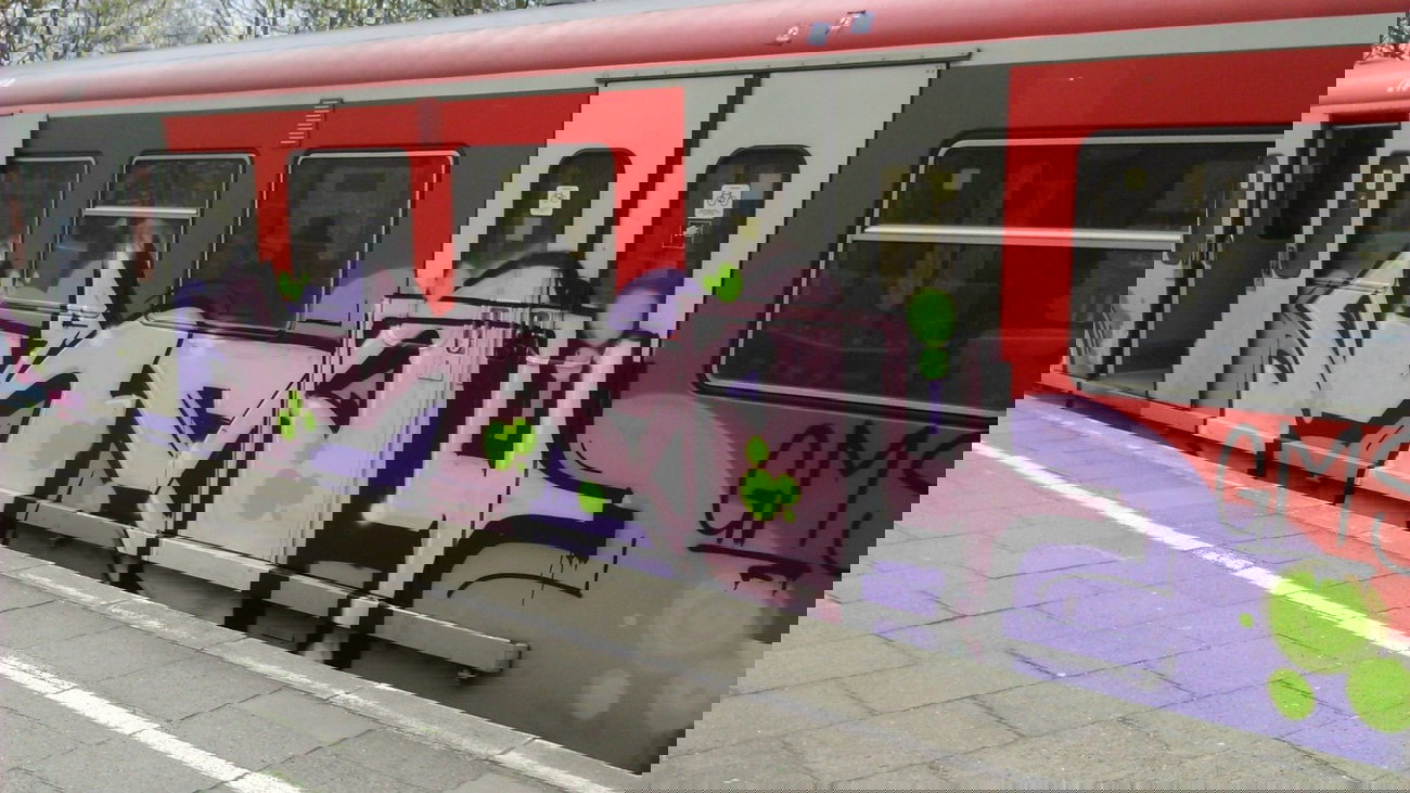 Graffiti Train - Photo by moschek - nes, gms (2015)