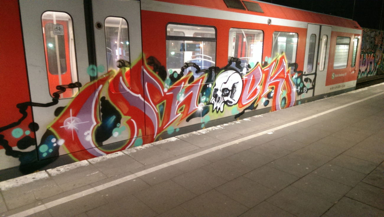 Graffiti Train - Photo by moschek (2016)