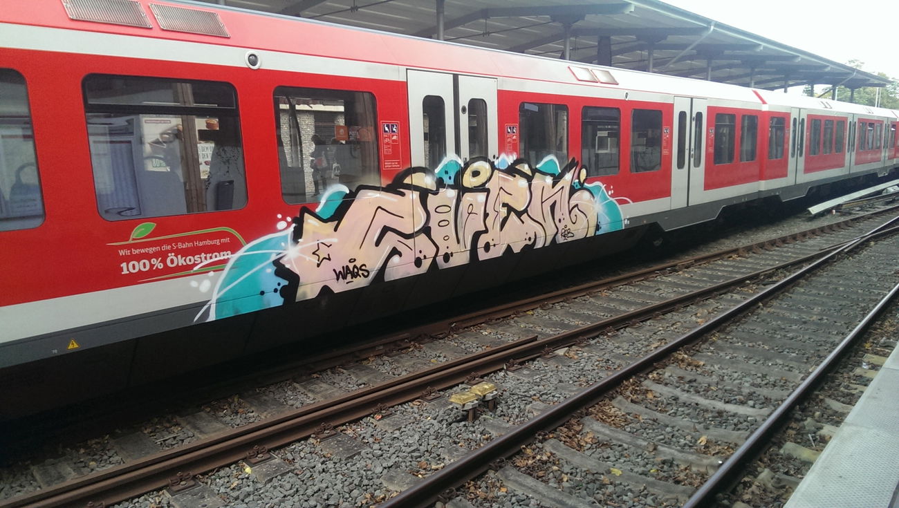 Graffiti Train - Photo by moschek - Sven (2017)
