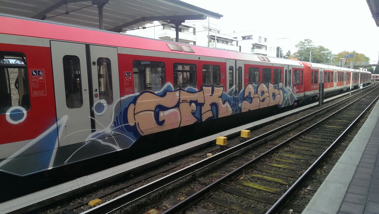 Graffiti Train - Photo by moschek (2017)