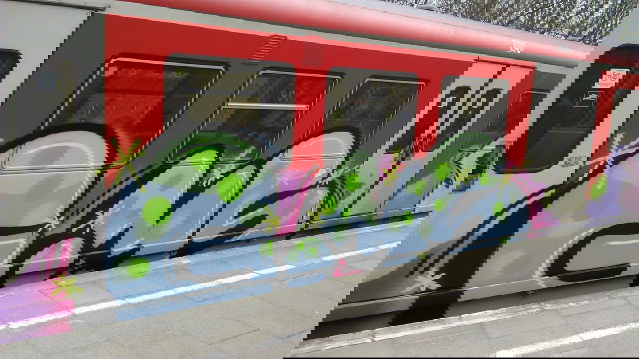 Graffiti Train - Photo by moschek - gms (2015)