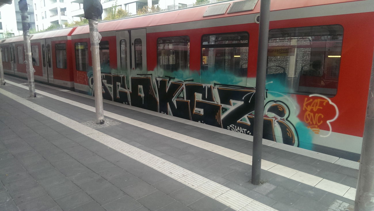 Graffiti Train - Photo by moschek