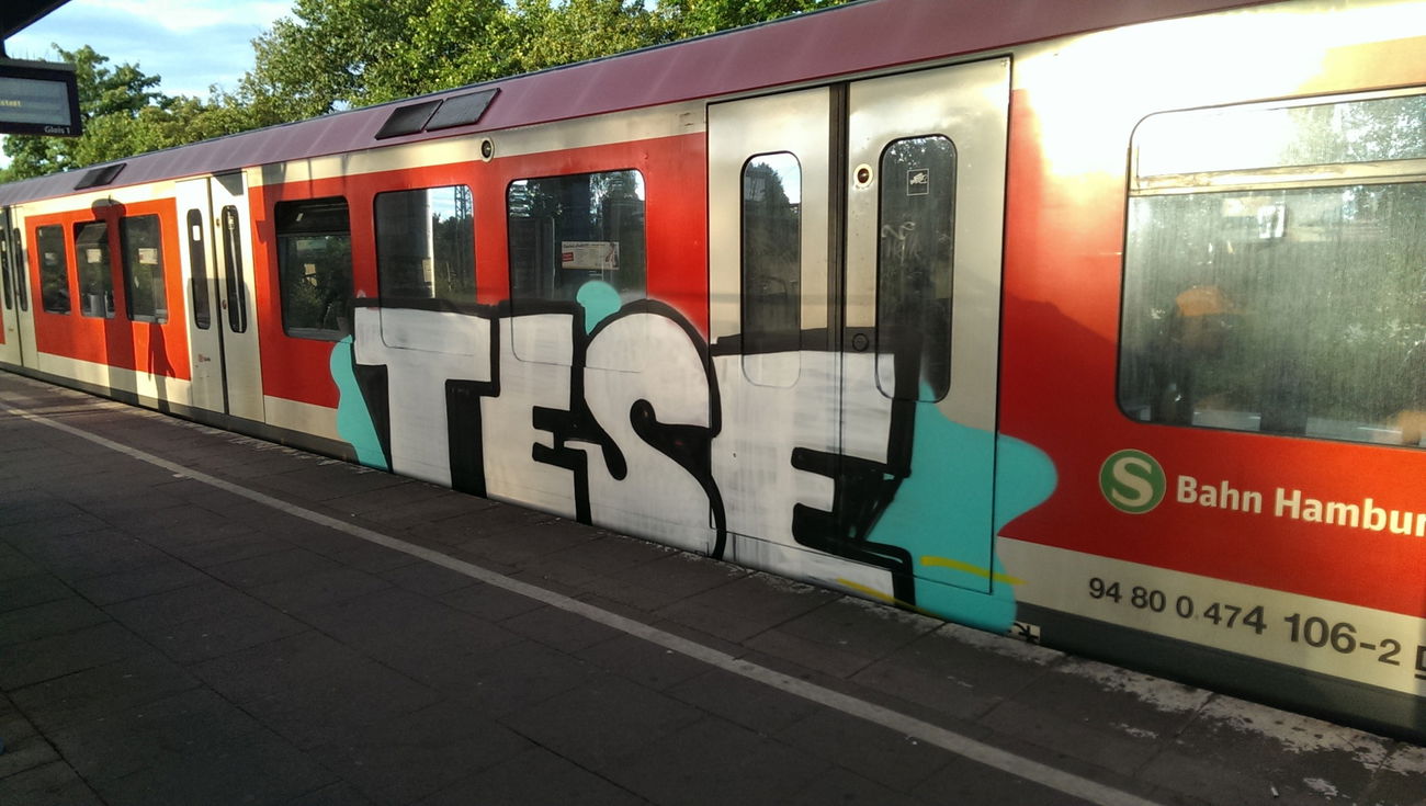 Graffiti Train - Photo by moschek - Tese, dsf (2016)