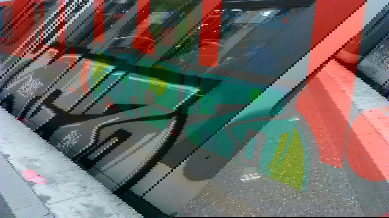 Graffiti Train - Photo by moschek - kgz (2015)